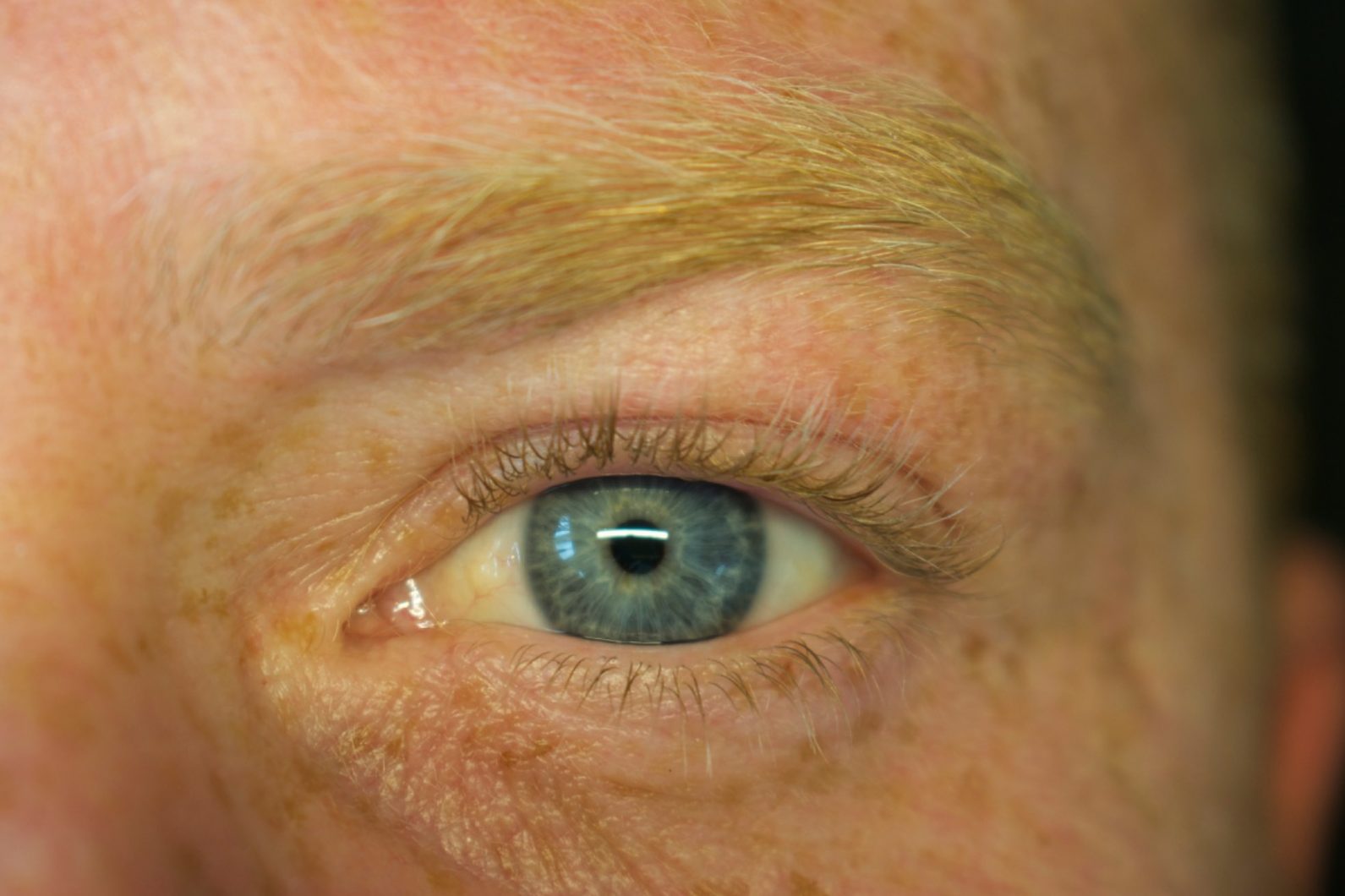 Restructuration des sourcils sur homme à Gradignan - Institut Œil de Nout